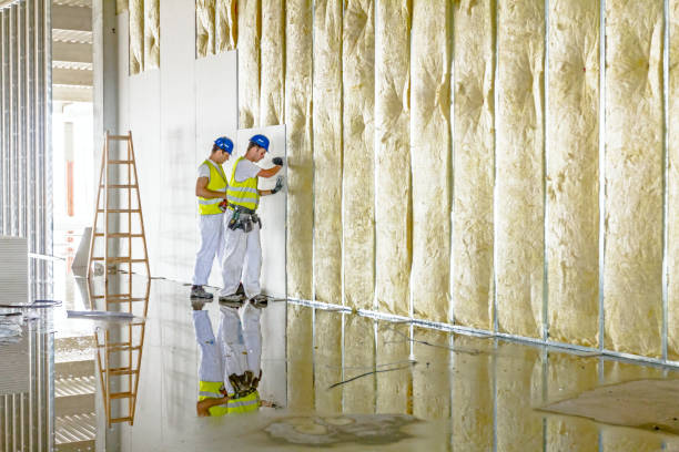 Best Insulation for New Construction  in Big Bend, WI